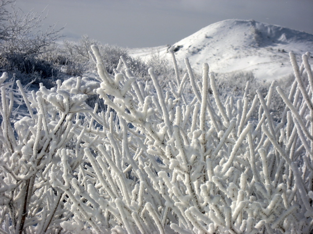 b0089531_16444793.jpg
