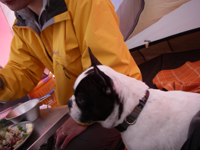 e0008833_111868.jpg