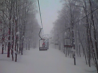f0048333_01799.jpg