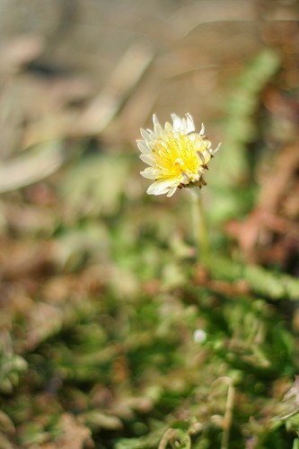 c0083439_2057790.jpg