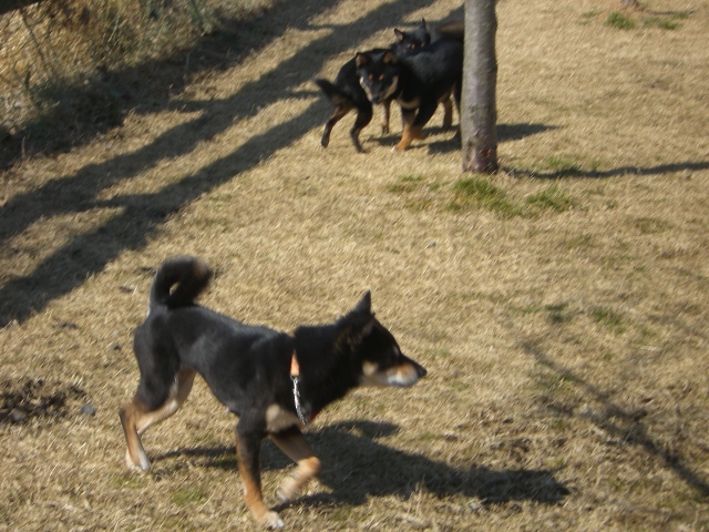 e0025240_22314840.jpg