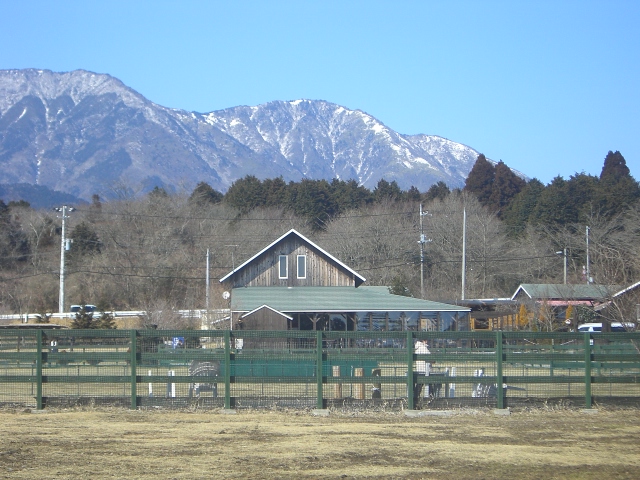 e0025240_2235521.jpg