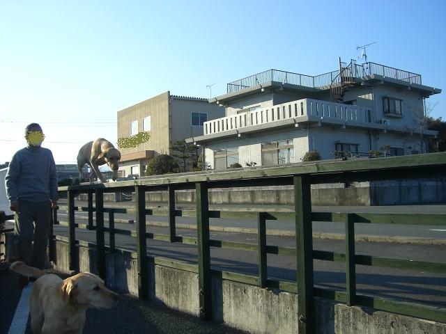 e0025240_2248284.jpg