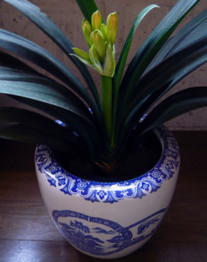 c0131544_15382160.jpg