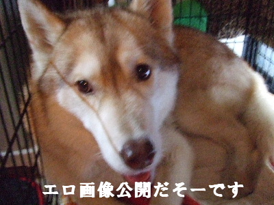 e0121548_23431283.jpg
