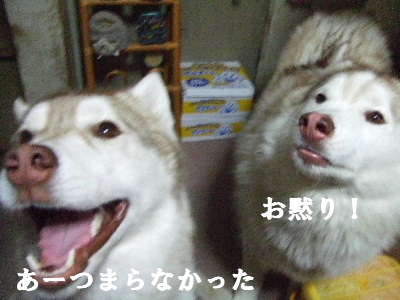 e0121548_23463145.jpg