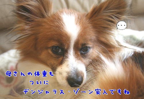 d0013149_1055981.jpg