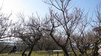 e0120156_2022595.jpg