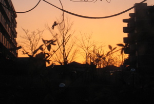 c0153259_16371338.jpg