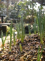 f0043559_2248511.jpg