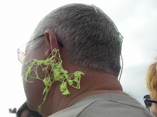 e0066062_9132826.jpg