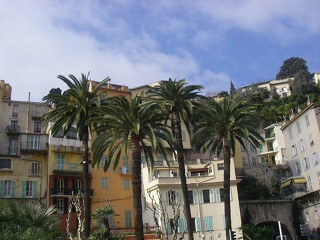 e0066062_9554642.jpg
