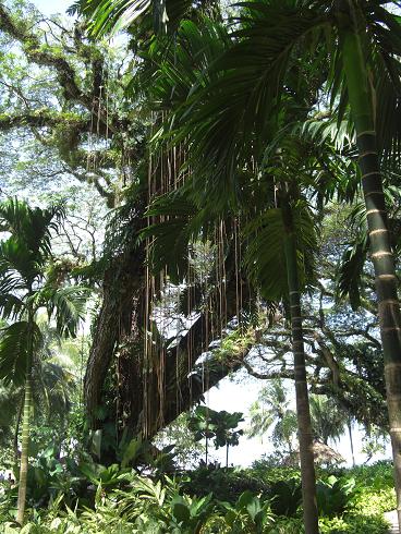 f0142862_21213640.jpg