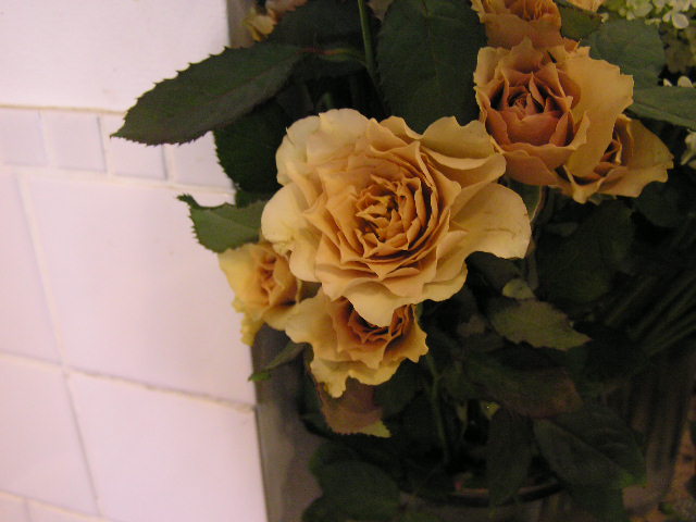 d0084765_23445349.jpg