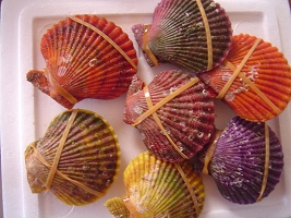 e0032665_19293044.jpg