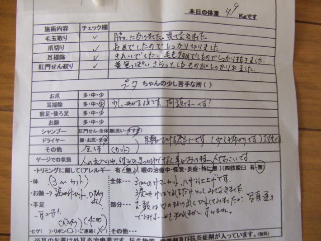 b0103668_16372232.jpg
