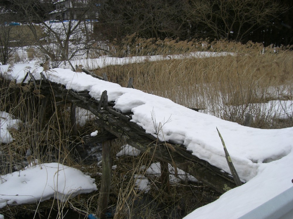 f0126970_13322062.jpg