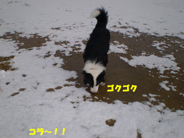 e0117976_22533173.jpg