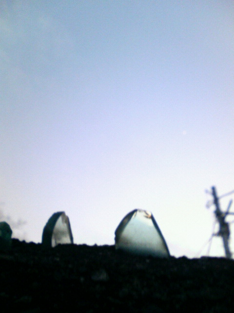 f0089079_1721688.jpg