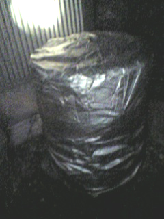 c0107180_2028038.jpg