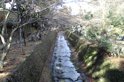 e0008880_19471250.jpg