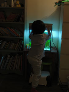 c0044390_18353941.jpg