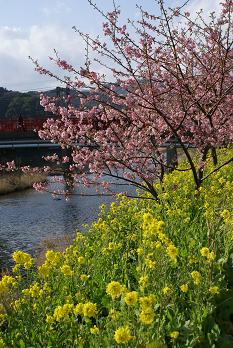 a0091891_1440195.jpg