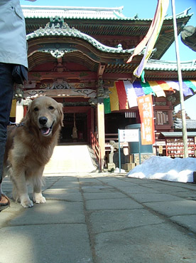 c0096393_2202720.jpg