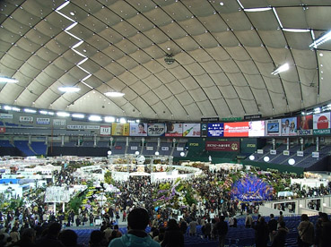 c0096393_22163111.jpg