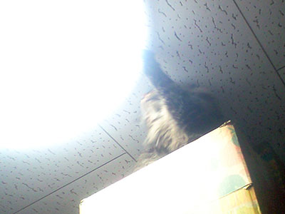 e0019594_2158093.jpg
