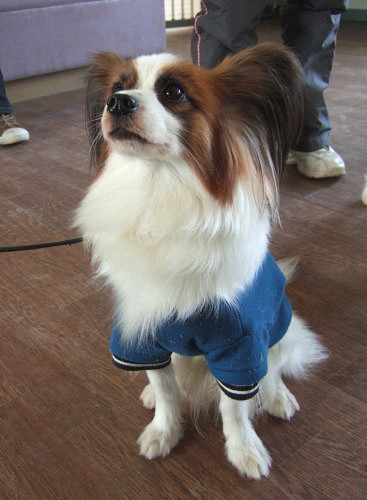c0044199_12122565.jpg