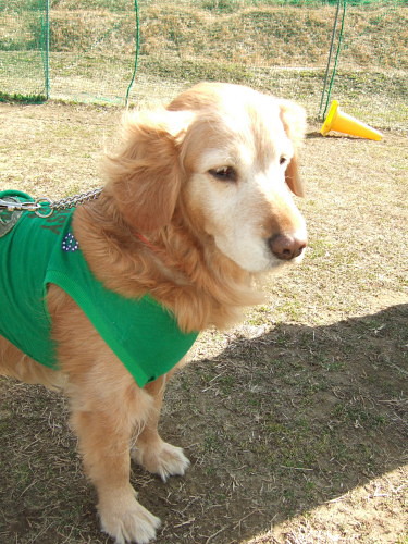 c0044199_21583535.jpg