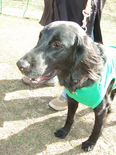 c0044199_21585113.jpg