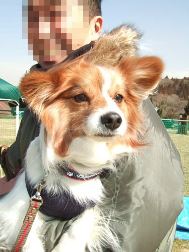 c0044199_215879.jpg