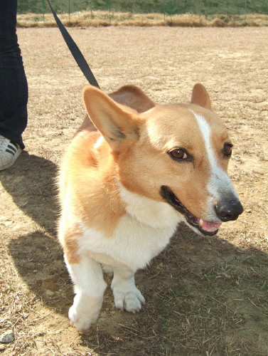 c0044199_22020100.jpg