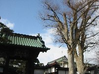 e0122199_2395746.jpg