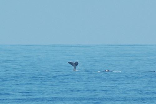 c0127909_1713553.jpg
