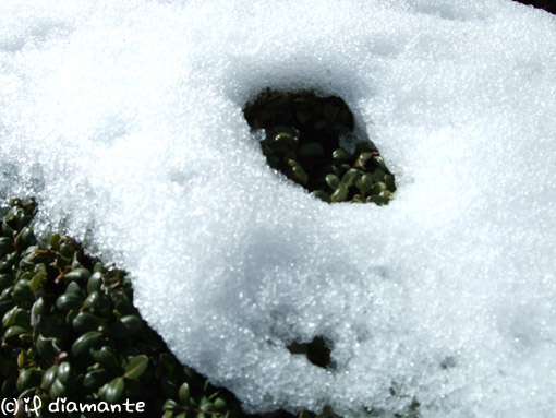 e0071409_16523370.jpg