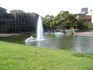 f0006510_20315580.jpg
