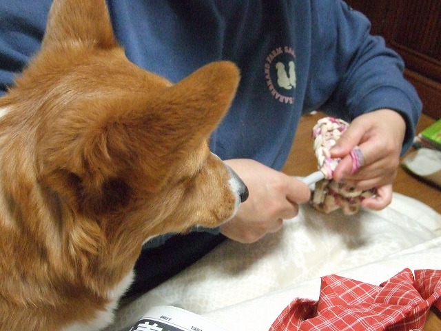 c0127617_22275092.jpg