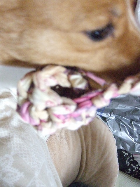 c0127617_2229245.jpg