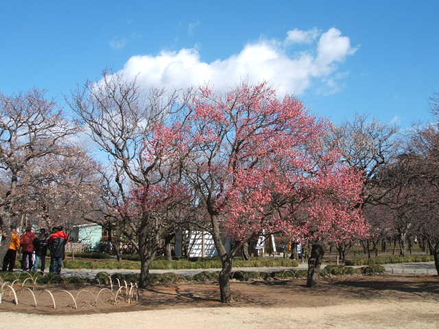 b0052523_7245686.jpg