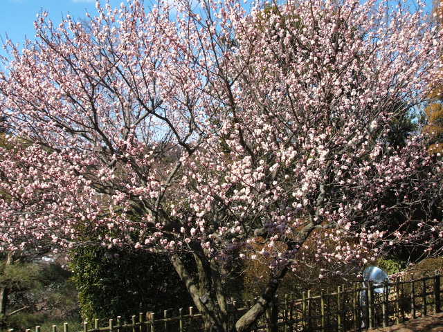 b0052523_7251964.jpg