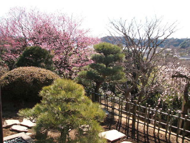 b0052523_725325.jpg