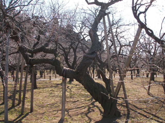 b0052523_726076.jpg