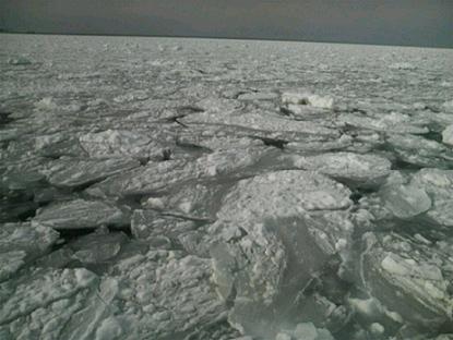 c0099229_1739353.jpg