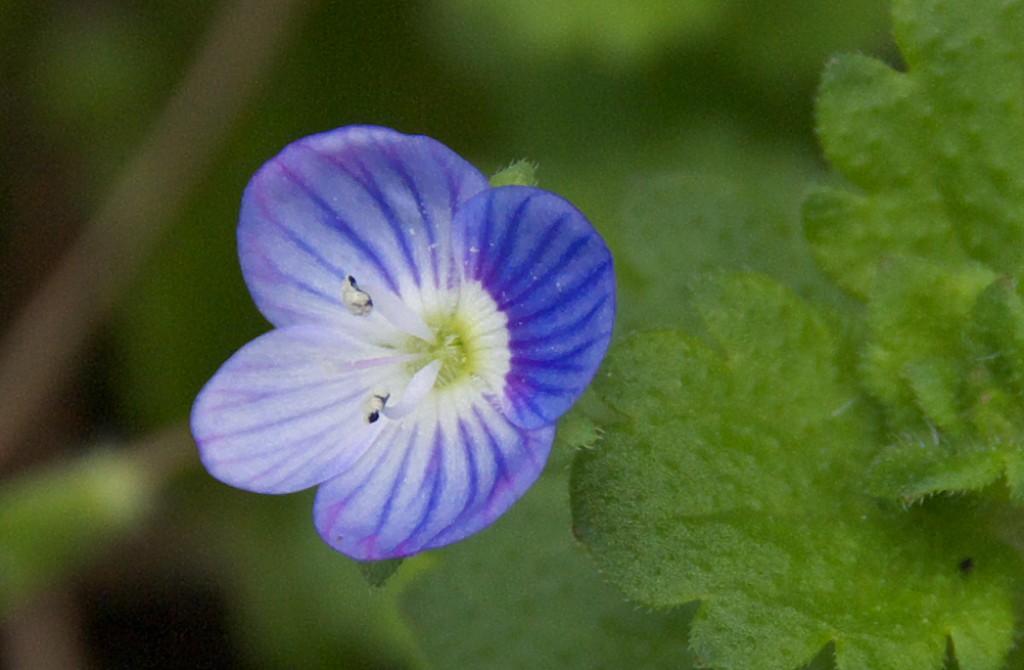 d0053930_1774586.jpg