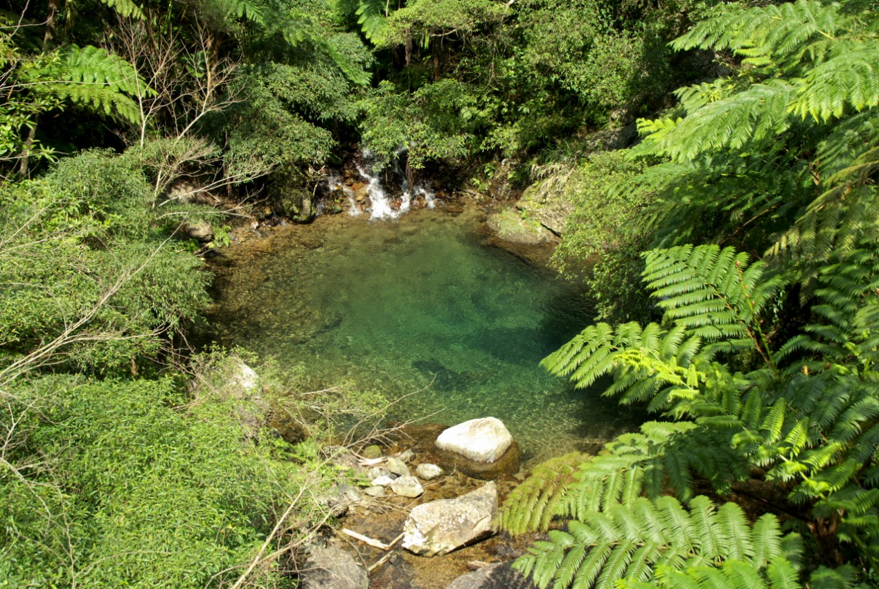 d0053930_744390.jpg