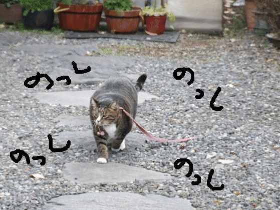 b0089338_0124910.gif
