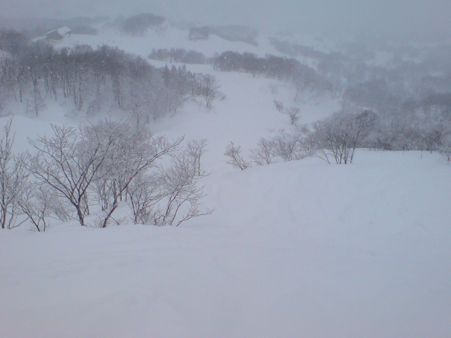 c0054838_10185764.jpg